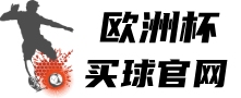 欧洲杯买球用品有限公司